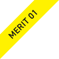 MERIT 01