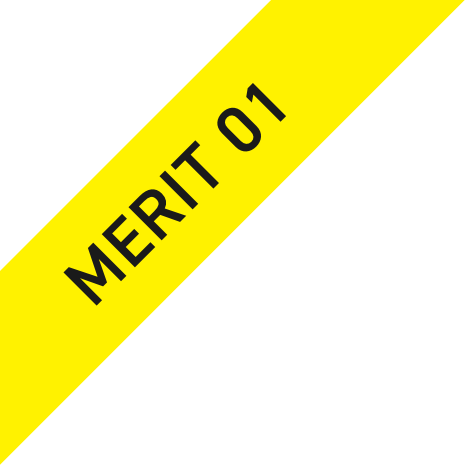 MERIT 01