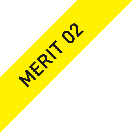 MERIT 02